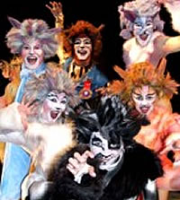 Cats | Harvest Rain Theatre Company