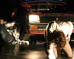 roadkill | Dancenorth