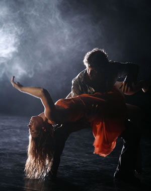 roadkill | Dancenorth