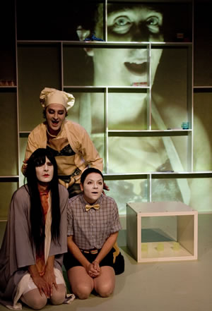 The Bee | Darlinghurst Theatre & MoFuCoSu