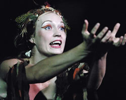 A Midsummer Nights Dream