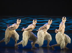 Swan Lake