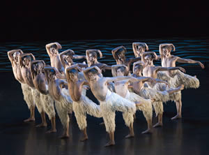 Swan Lake
