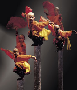 Shaolin Warriors