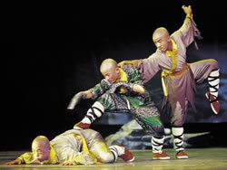 Shaolin Warriors