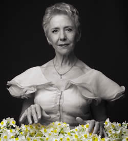 The Glass Menagerie | Queensland Theatre Company