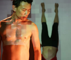 Impro-Lab: Transparencies