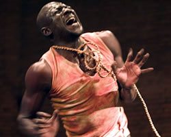 C'est A Dire | Seydou Boro