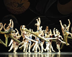 Destiny | The Australian Ballet