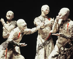 Kagemi: Beyond the Metaphors of Mirrors