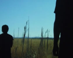 The Laramie Project | Springboard Theatre & The Forward Movement