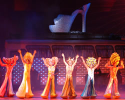 Priscilla Queen of the Desert