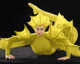 Varekai | Cirque du Soleil