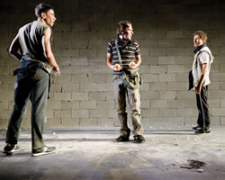 The Serpent&rsquo;s Teeth | Sydney Theatre Company