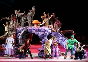 Mickey & Minnie's Amazing Journey