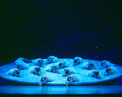 Swan Lake | The Australian Ballet