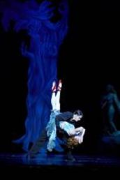The Red Shoes