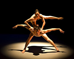 Scarce Resources: Project Three | Melbourne Ballet Company