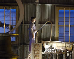 Collapse | Red Cabbage