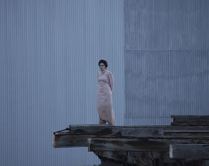 Collapse | Red Cabbage