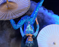 Dralion | Cirque du Soleil