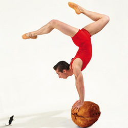 The Nutcracker | WA Ballet