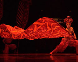 Dralion | Cirque du Soleil