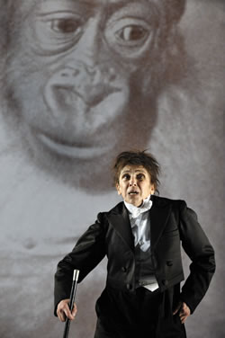 Kafka's Monkey | STC & Young Vic