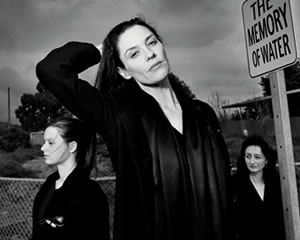 The Memory of Water | State Theatre Company of South Australia