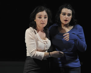 Norm and Ahmed & Shafana and Aunt Sarrinah | The Alex Buzo Company