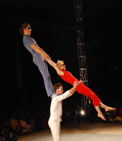 Tennis Elbow | Dislocate