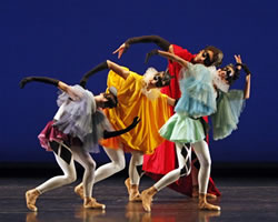 Morphoses | The Wheeldon Company