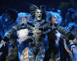 Cats | Lunchbox Theatrical & David Atkins Enterprises in assocation with Really Useful Group