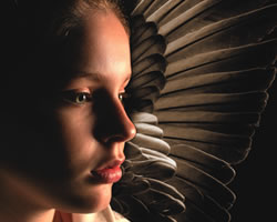 Blackbird | Street Theatre