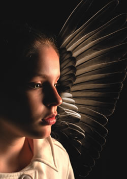 Blackbird | Street Theatre