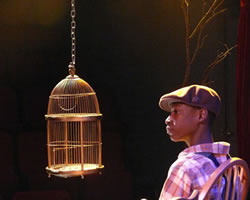 To Kill a Mockingbird | Epicentre Theatre Company