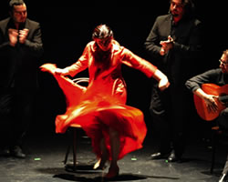 Noche Flamenca