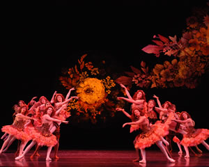 Nutcracker - The Story of Clara | Australian Ballet