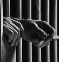 Everynight, Everynight