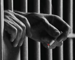 Everynight, Everynight