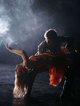 roadkill | Splintergroup