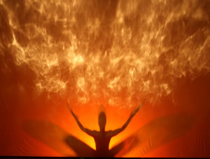 Pilobolus