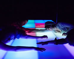 Pool (no water) | Black Swan State Theatre Company and The HotBed Ensemble