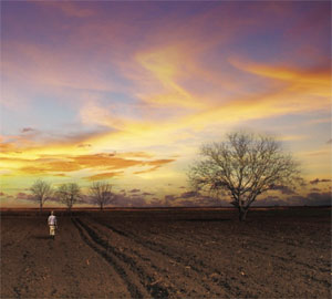 The Berry Man | Hothouse Theatre