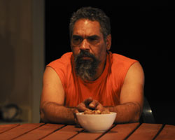The Fence | Urban Theatre Projects