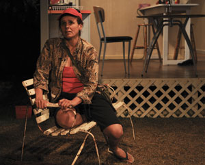 The Fence | Urban Theatre Projects