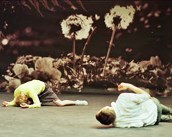 Maybe Forever | Malthouse Theatre