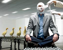 The Ugly One | Melbourne Theatre Company