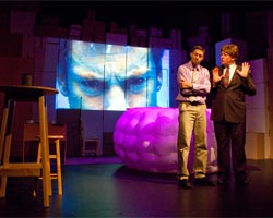 Urchin | Encyclopedia of Animals