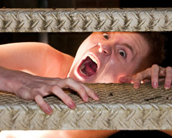 Bat Boy The Musical | The Hills Musical Company